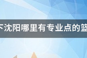 沈阳最好的篮球训练营？
